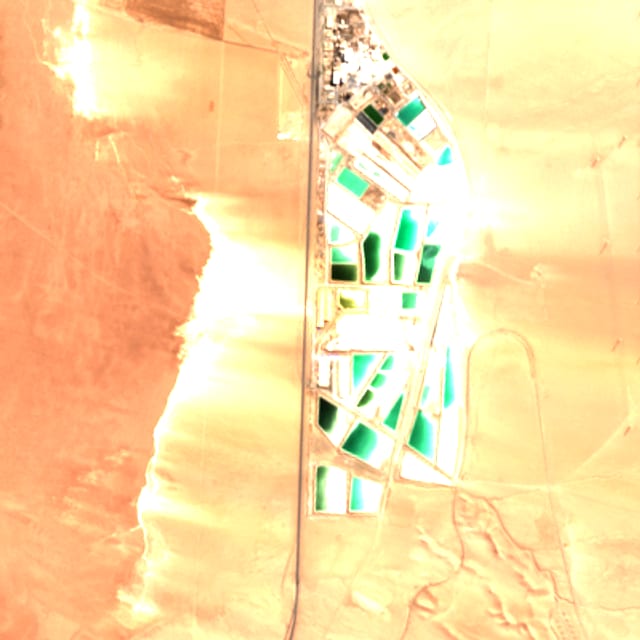 Satellite view: Salar del Carmen